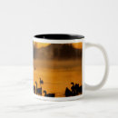 Search for waterfowl mugs Swan