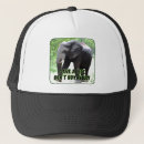 Recherche de défenses casquettes Faune