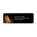Search for equestrian return address labels Animal