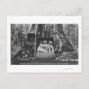 Recherche de pionniers cartes postales Vue