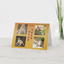 Recherche de singe chinois vœux cartes 2016