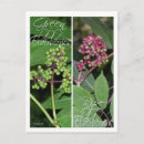 Recherche de marque page cartes postales Lire