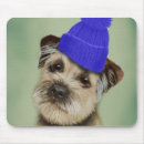 Search for dictionary electronics Terrier