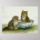 Search for blue bowl posters Pattern