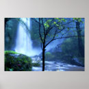 Recherche de forêt tropicale posters Randonnée