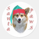 Search for pembroke welsh corgi stickers Animals