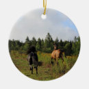Search for black horse ornaments Brown