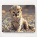 Search for captivating mousepads Baby