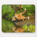 Search for captivating mousepads Superstock
