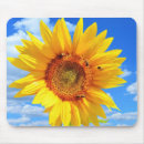 Search for bee flower photo electronics Sunflower