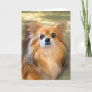 Recherche de pomeranians cartes postales Dogs