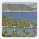 Search for playa stickers Tropical