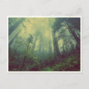 Recherche de vert forêt cartes postales Automne