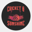 Search for googly stickers Batsman