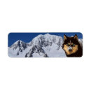 Search for husky return address labels Animal
