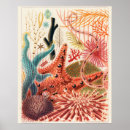 Search for great barrier posters Australia