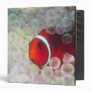 Search for dive binders Underwater