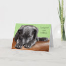 Recherche de anniversaire belge cartes invitations Mignon