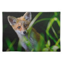 Search for red fox kitchen dining woods