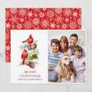 Search for cardinal photo christmas cards Rustic