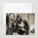 Recherche de monochromatique cartes postales Noir et blanc