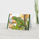 Search for photography thank you cards Grateful