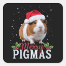 Search for winter pig stickers Snow