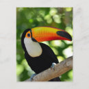 Recherche de brazil postcards Brasil