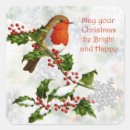 Search for christmas robin stickers Berry