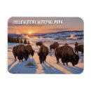 Search for yellowstone national park magnets Vacation