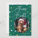 Search for furry christmas cards Funny christmas message