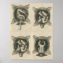 Search for midwifery posters Pregnancy