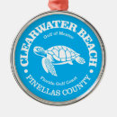 Search for clearwater beach ornaments Tampa