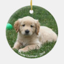 Recherche de golden retriever ornaments Mignon