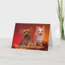 Search for cute yorkie cards Yorkies