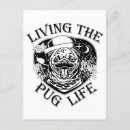 Search for living postcards Funny