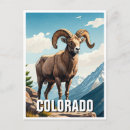 Search for bighorn sheep postcards Souvenir