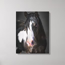 Recherche de cheval occidental art Animal
