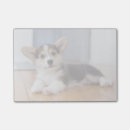 Search for pembroke corgi post it notes Cute
