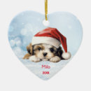 Search for pencil ornaments White