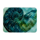 Search for spiralled magnets Seashell