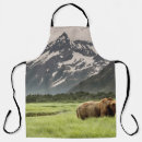 Search for shore aprons Nature