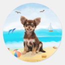 Search for chihuahua stickers Animal lover