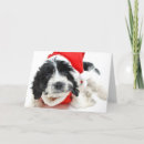 Search for black santa cards Studio shot