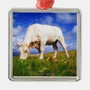 Search for agriculture ornaments Outdoors