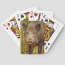 Search for wild boar Nature