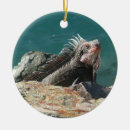 Search for st thomas ornaments Tropical
