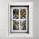Search for unique owl posters Humour