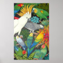 Search for lovebird posters Cockatiel