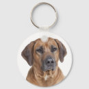 Search for rhodesian ridgeback dog keychains Puppy